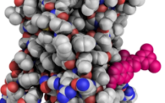 Structure of key biological receptors solved by UK scientists