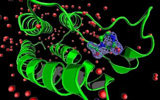 Game-changing PanDDA method unveils previously hidden 3D structure data