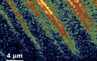 Ancient Climate from Plankton Shells 