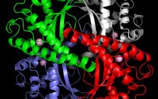 Crystal structure determination of Superoxide Dismutase from C. elegans.