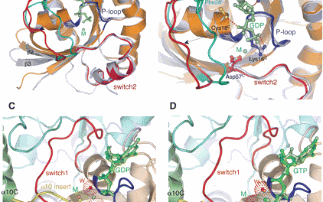 Studying processes underlying cancer metastasis