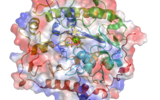 Getting a better understanding of molecular mechanisms