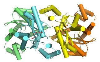 Towards better understanding of retroviral DNA integration and more effective antiviral drugs