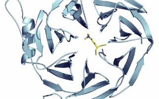 Propagation of repressive chromatin marks by PRC2 - how EED recognises histone tails