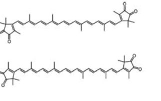 X-ray crystal structure and time-resolved spectroscopy of the blue carotenoid violerythrin