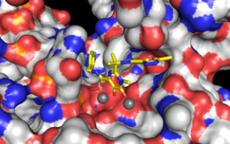 A puzzle solved in HIV research