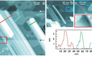 Growing wires for a nanoscale circuit board