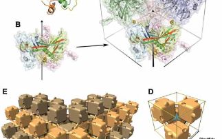 The structure of polyhedra microcrystals