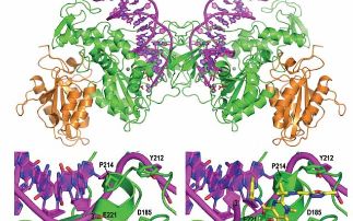 Structural basis for retroviral intasome assembly and integrase inhibitor action