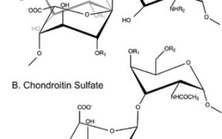 A key biological signalling system promises new routes to intervention in medically important processes