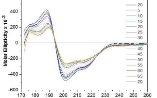 Establishing the conformational preference of a novel α,β-peptoid backbone