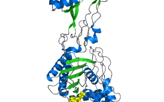 Improving our antibiotics