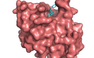 Fighting drug-resistant infections