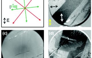 NiO engaged in spin confrontation at the interface