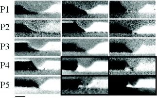 Current-induced domain wall resonance – tuning by modification of material parameters