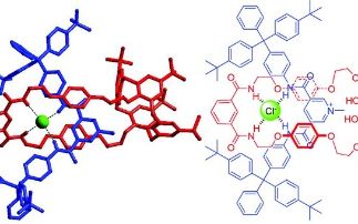Rotaxanes capable of recognising chloride in aqueous media