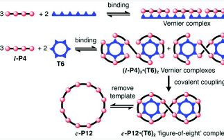 Synthesis and characterization of porphyrin nanorings
