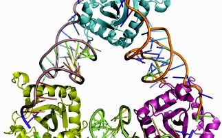 Toxin-antitoxin induced altruism in bacteria protects populations from bacteriophage infection