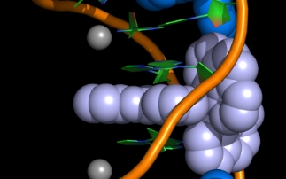 DNA structures