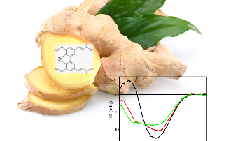 “Spice of life”: Indian spice turmeric polyphenol by-products may help inhibit Parkinson's symptoms.