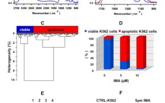 Tools for cancer research and diagnosis: infrared spectroscopy and microscopy