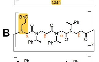 Effect of side chains on the conformational preference of cyclic α,β-peptoids