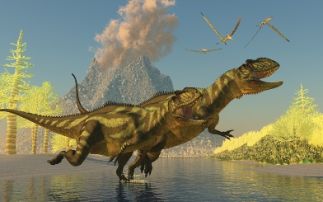Could volcanoes have caused extinction of the dinosaurs?