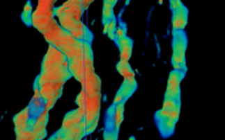 Exploring subterranean carbon capture