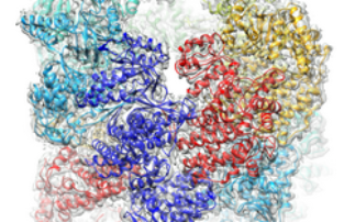 First automated data set collected on Titan Krios I, Diamond's first cryo-electron microscope