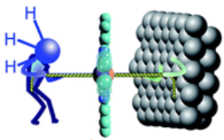 First proof of the ‘surface <i>trans</i>-effect’