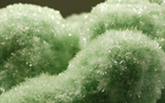 Understanding gypsum growth
