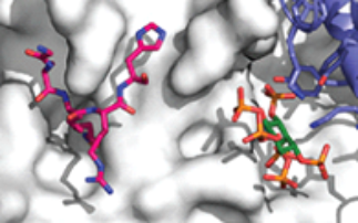 Understanding chromatin regulators