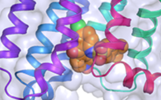 Drug discovery goes intracellular