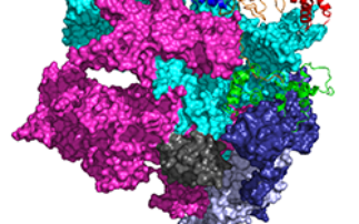  Transcriptional triumphs