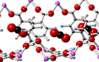 Annual Review: Soft Condensed Matter