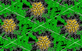 Annual Review: Soft Condensed Matter/MX