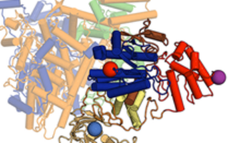 Annual Review: Soft Condensed Matter/MX