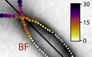 Annual Review: Surfaces & Interfaces