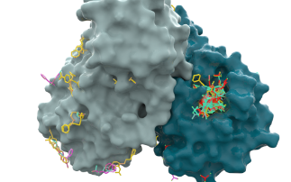 Call for Chemists to contribute to the fight against COVID-19