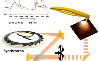 World first for Synchrotron InfraRed Photo-Thermal in Life NanoSciences