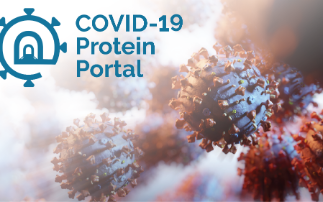 UK consortium launches COVID-19 Protein Portal to provide essential reagents for SARS-CoV-2 research
