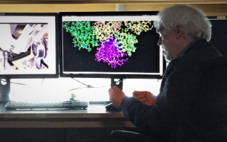 Structural Biology reveals new target to neutralise COVID-19 