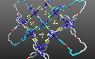 Scientists have discovered a new type of molecular knot using X-ray diffraction techniques at Diamond 