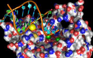 Targeting a parasite’s DNA could be more effective way to treat malaria