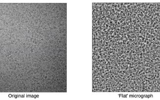 Solving the ice problem in cryo-electron microscopy