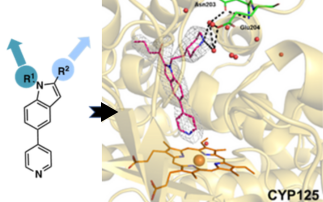 Tuberculosis breakthrough should lead to a new range of anti-TB inhibitors