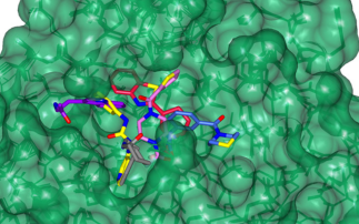 Breakthrough Research shows the potential for generative AI to accelerate the development of new antivirals