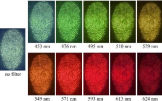 New nanomaterial could transform how we visualise fingerprints 