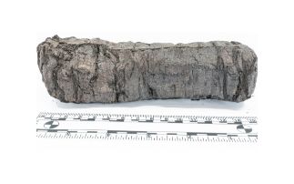 Uncovering ancient text from the Oxford Herculaneum scroll 