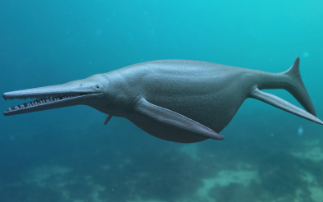 Fossil reveals silent swimmer of the Jurassic deep